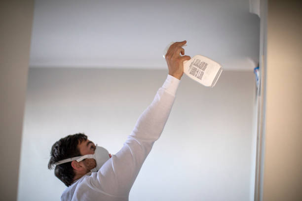 Best Residential Mold Remediation in Cana, VA