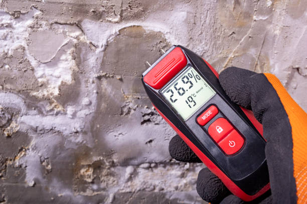 Best HVAC Mold Remediation in Cana, VA