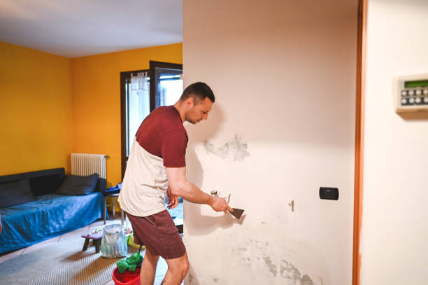 Best Attic Mold Remediation in Cana, VA